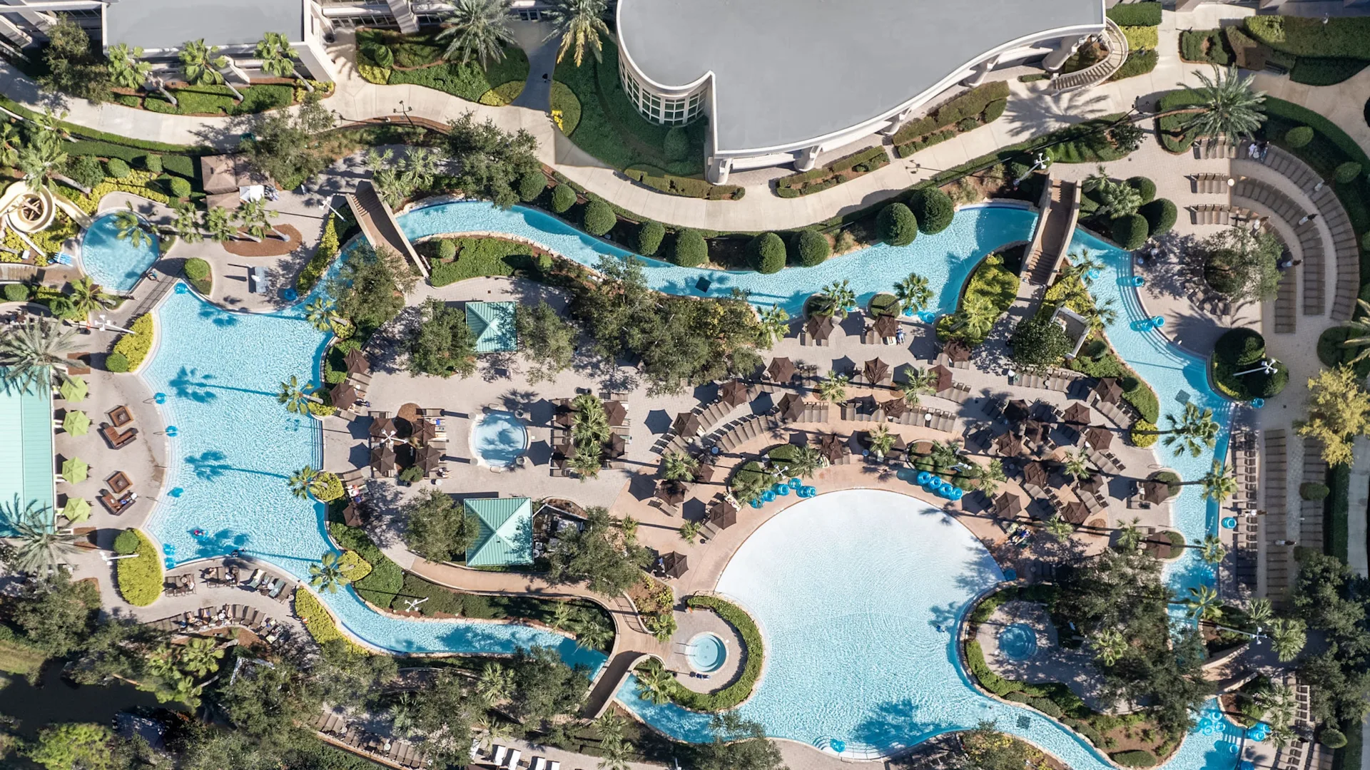 Signia by Hilton Orlando Bonnet Creek pool